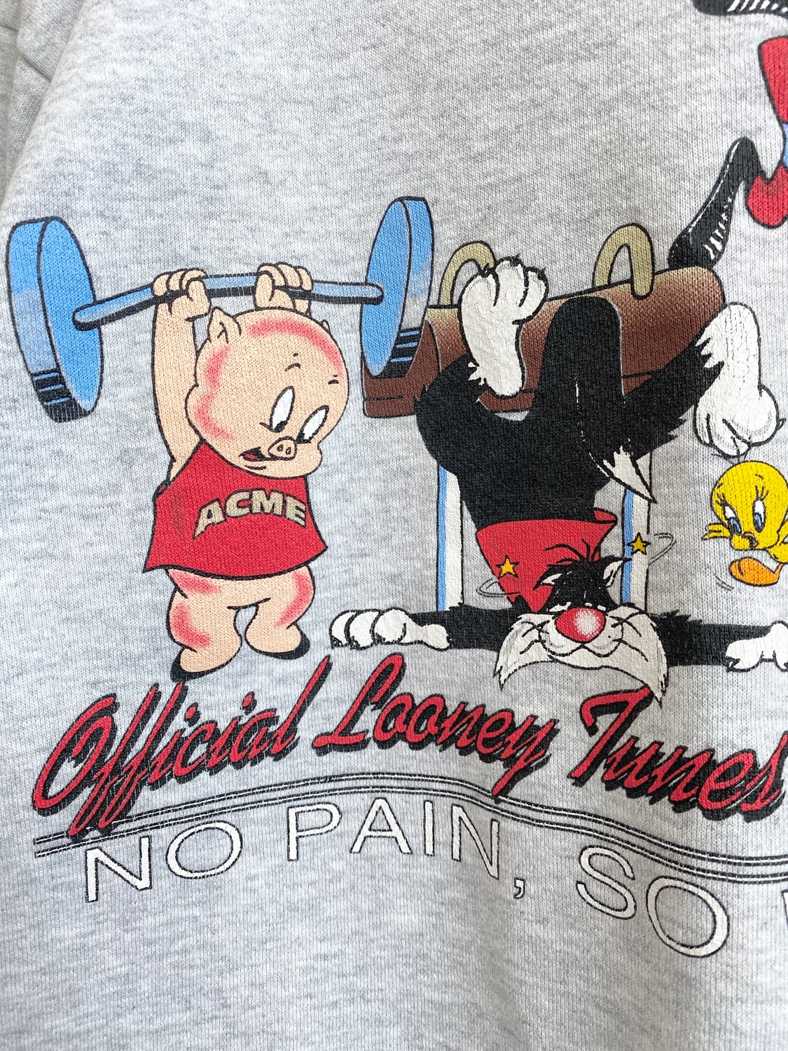 1993s 툴텍스 워너브로스 스웻셔츠 상품이미지4