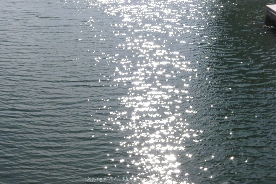 켄코 DSC800 빈티지 디카 상품이미지8