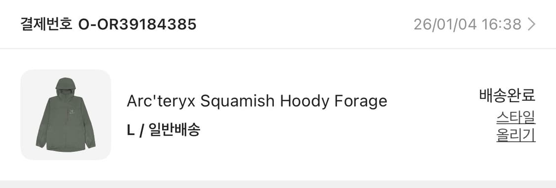 아크테릭스 스쿼미시 후디 포리지 L 상품이미지4