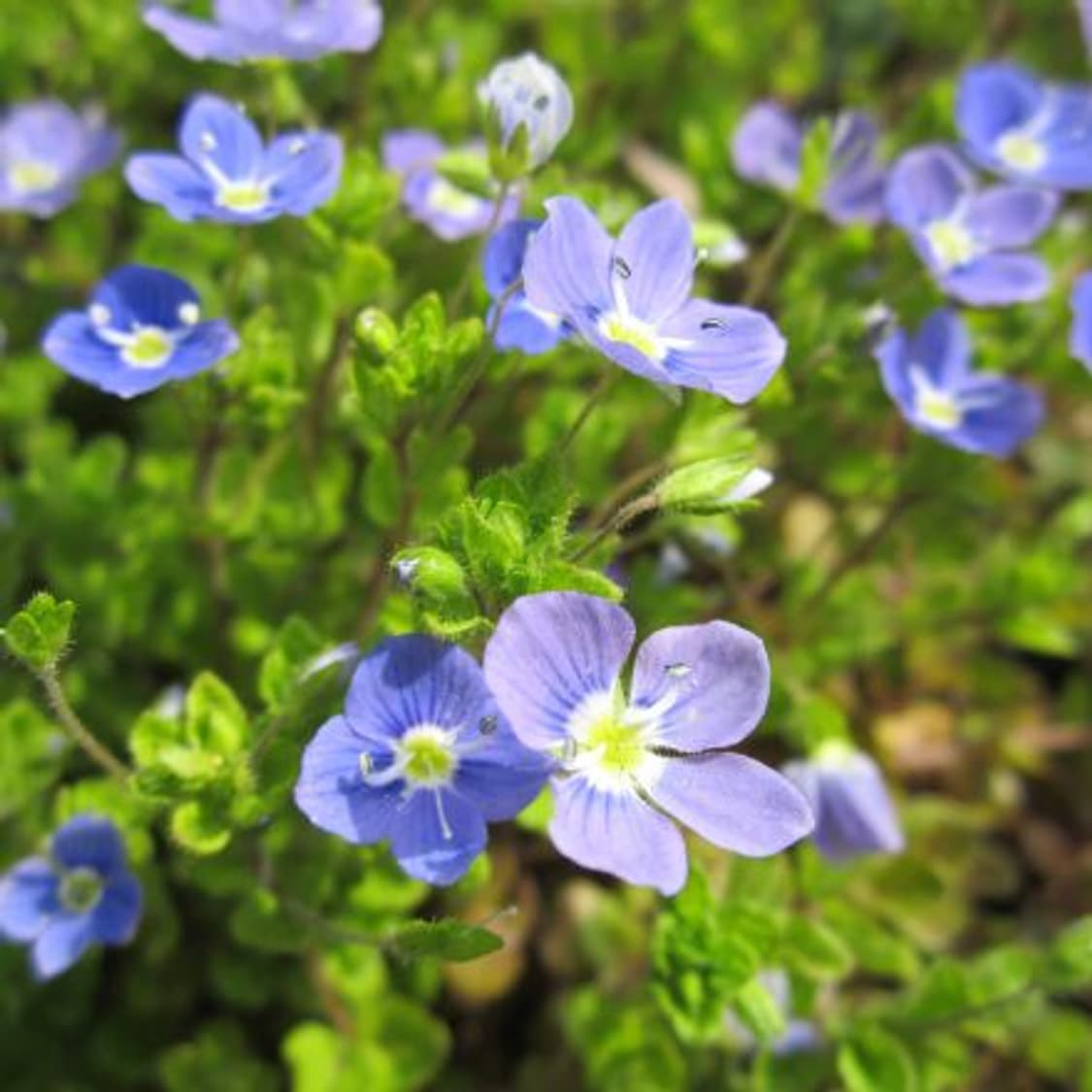 ​📸  풀박스 ✨ 캐논 PowerShot A2200 실버 [영어지원]  상품이미지7