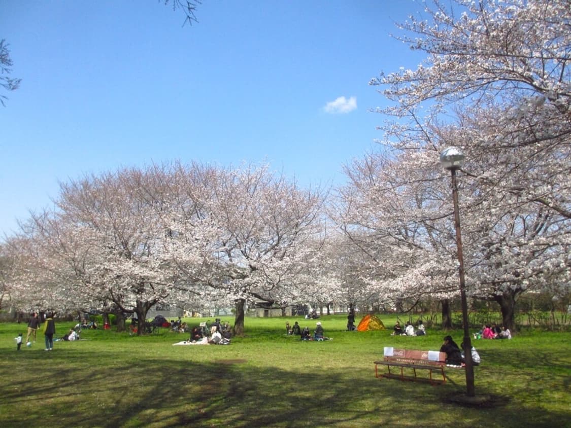 캐논 익서스 Canon IXUS 220 HS 블랙(익시 410F IXY  상품이미지2