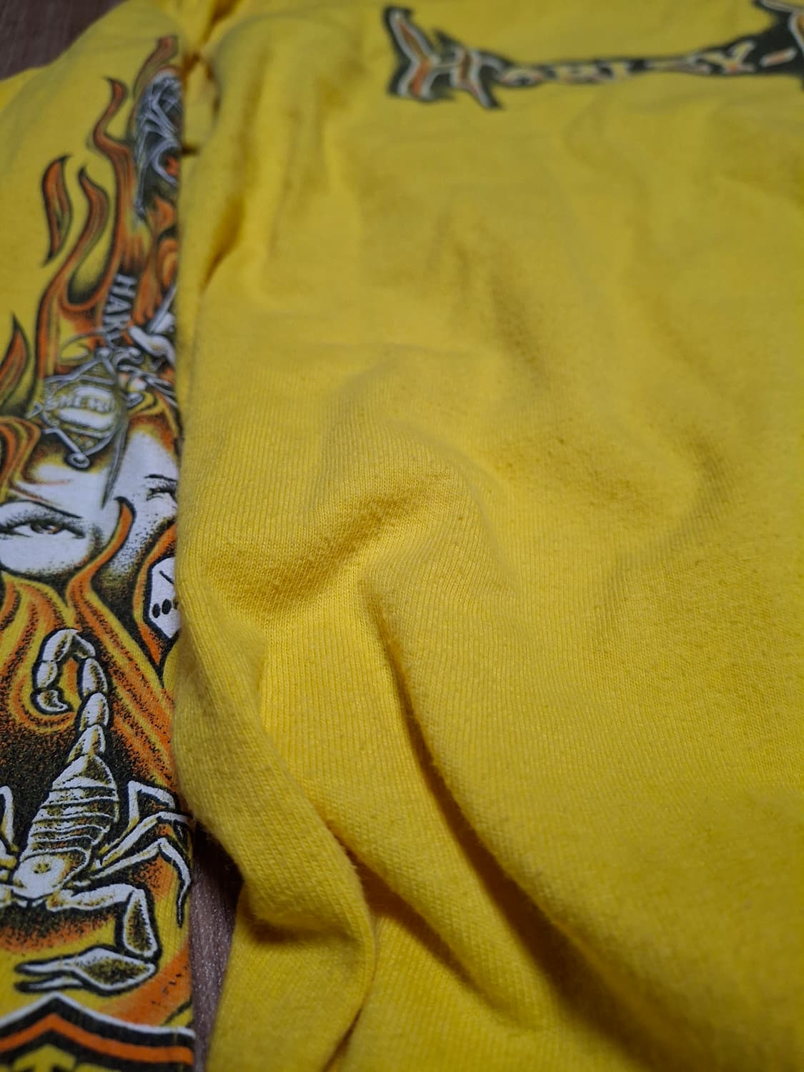 00s 할리데이비슨 헤인즈비피티 플레임 패턴 롱슬리브 티셔츠 usa 상품이미지9