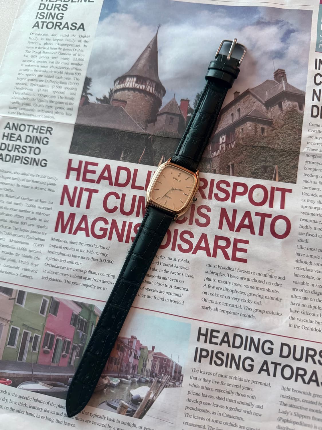 세이코 Seiko Dolce 골드 스퀘어 상품이미지2