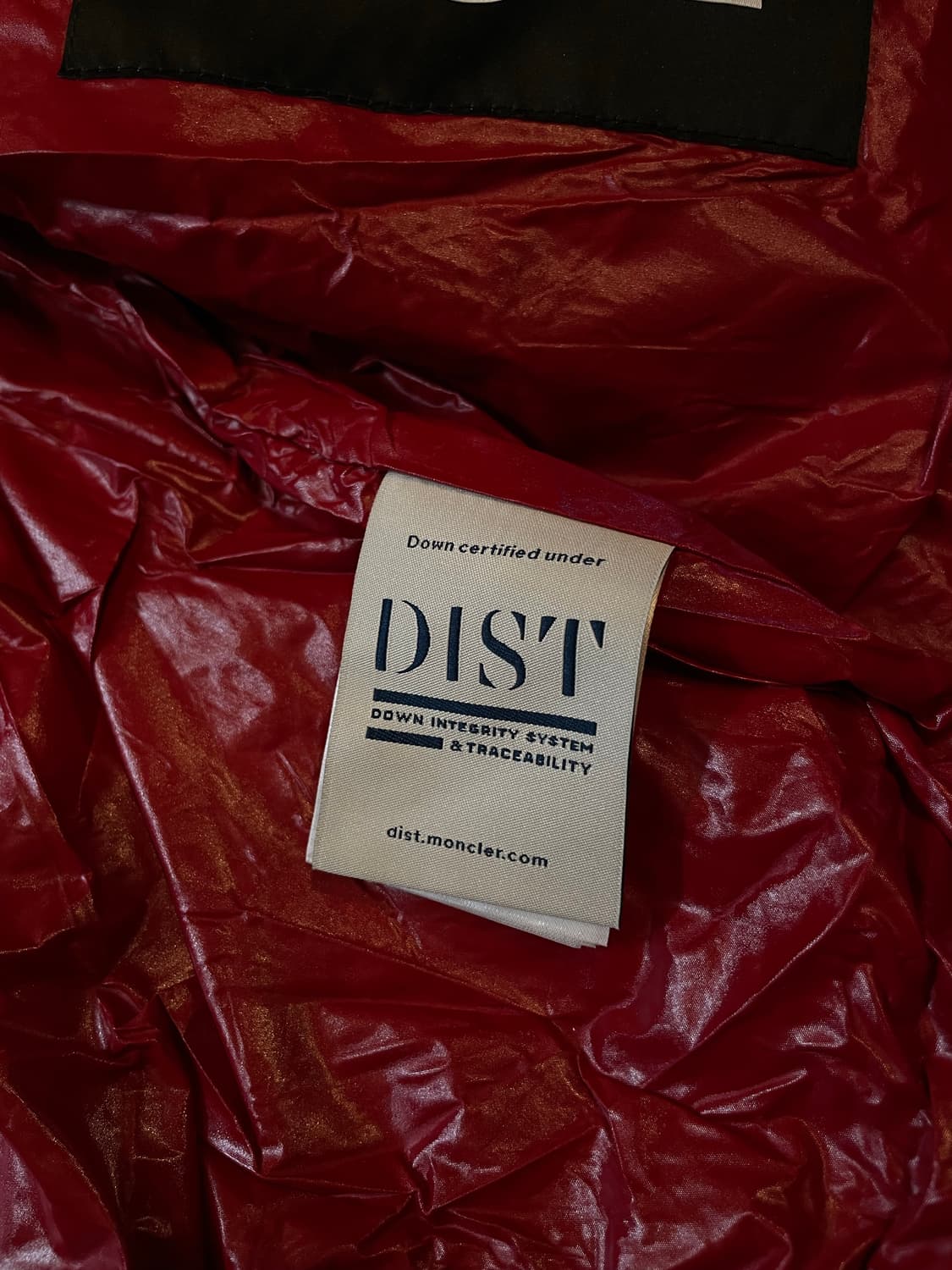 몽클레어X팜엔젤스 지니어스자켓 2 상품이미지7