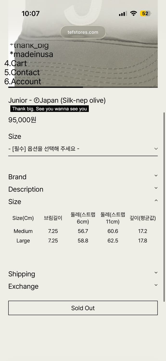 테프스토어즈 모자 새상품 M 사이즈 상품이미지3