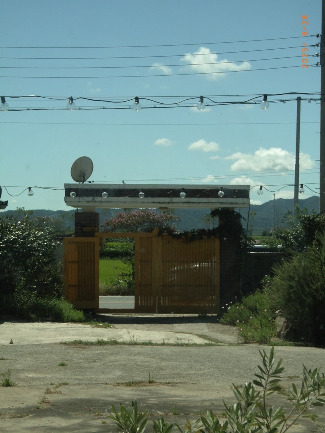 리코 카프리오 R2 디카 (작례O) 상품이미지3