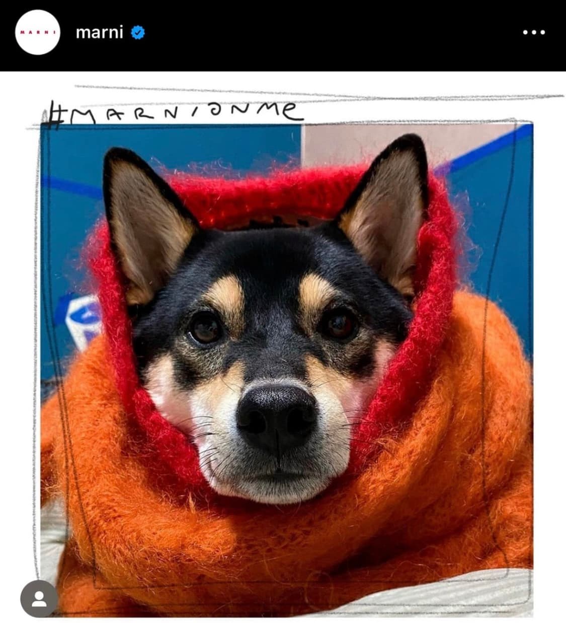 마르니 키드모헤어 니트 상품이미지1