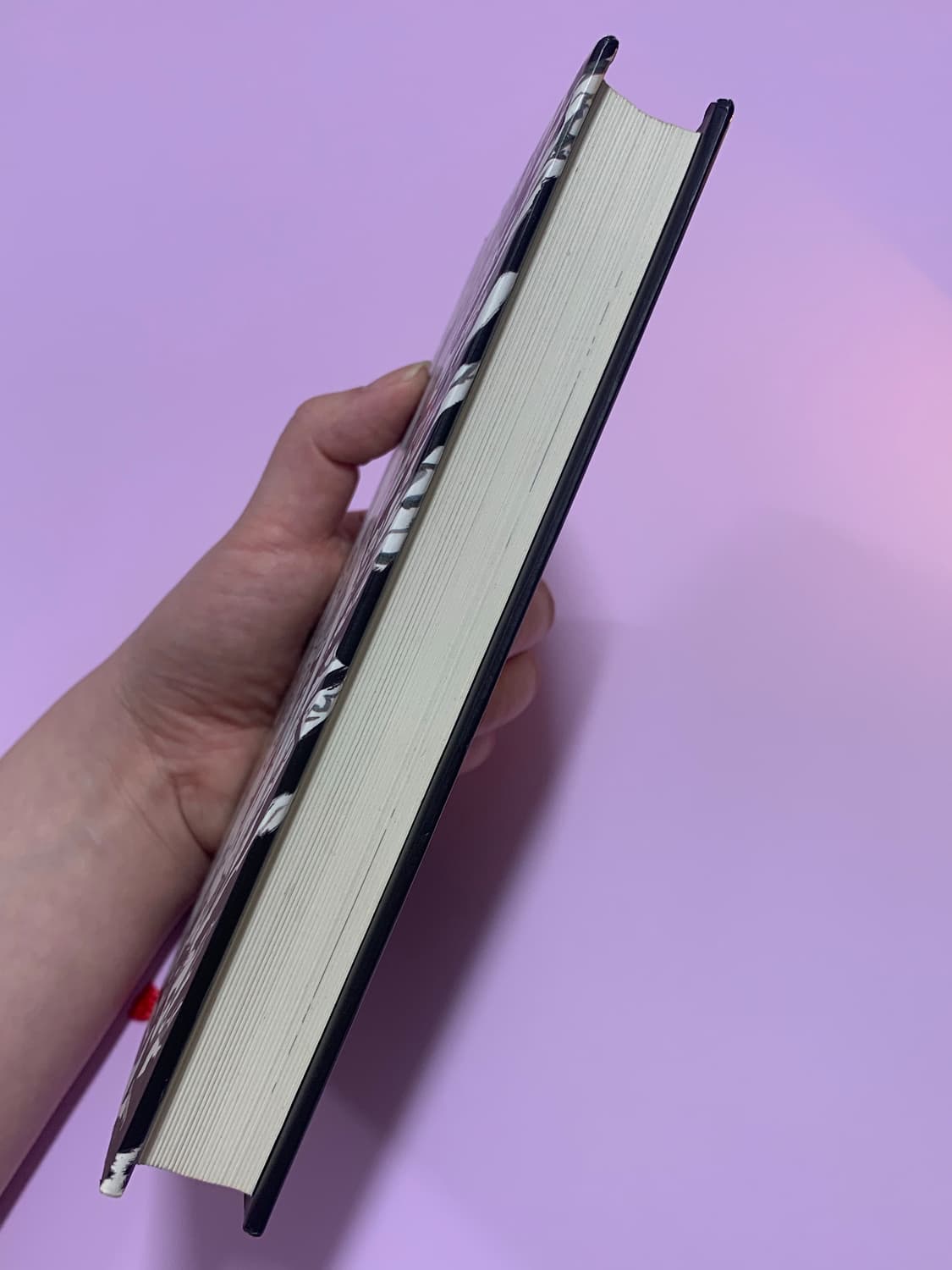 마이조 오타로 소설 <연기 흙 혹은 먹이> 상품이미지3