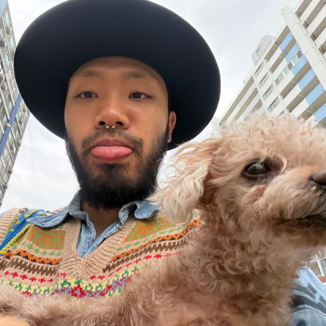 폴로랄프로렌 페어아일 니트 M 상품이미지4