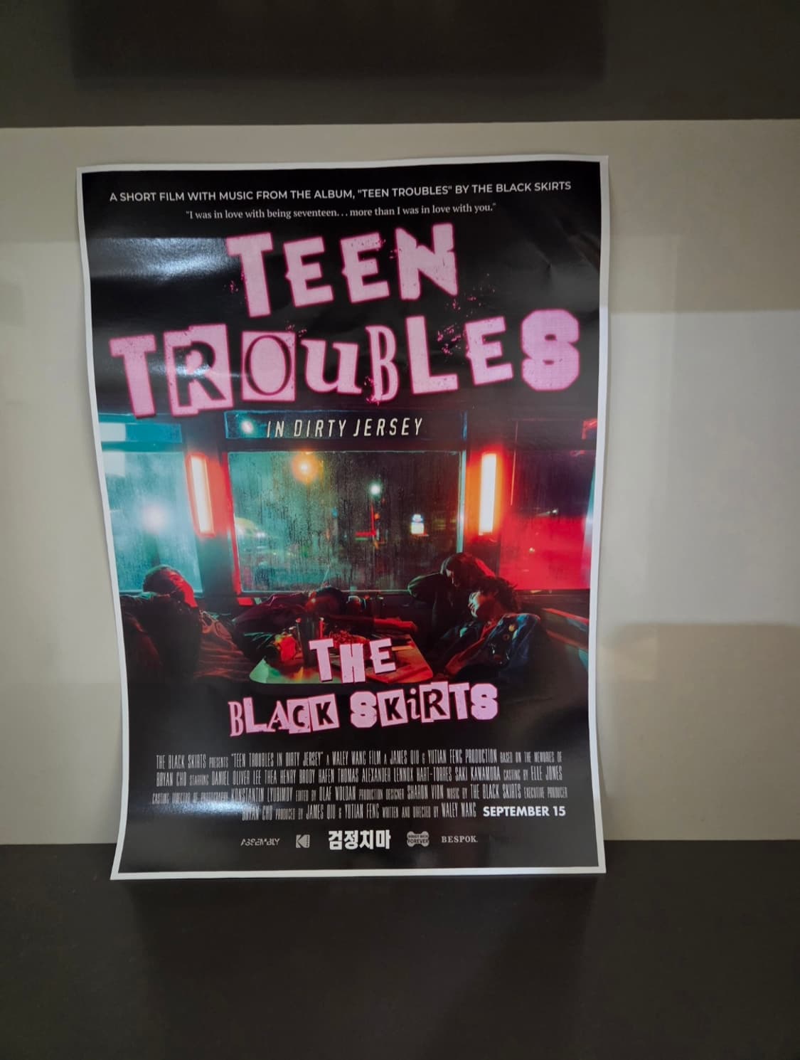 검정치마 포스터 팝니다 상품이미지1