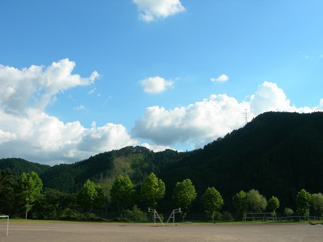 니콘 쿨픽스 Nikon Coolpix 7900 실버 상품이미지5