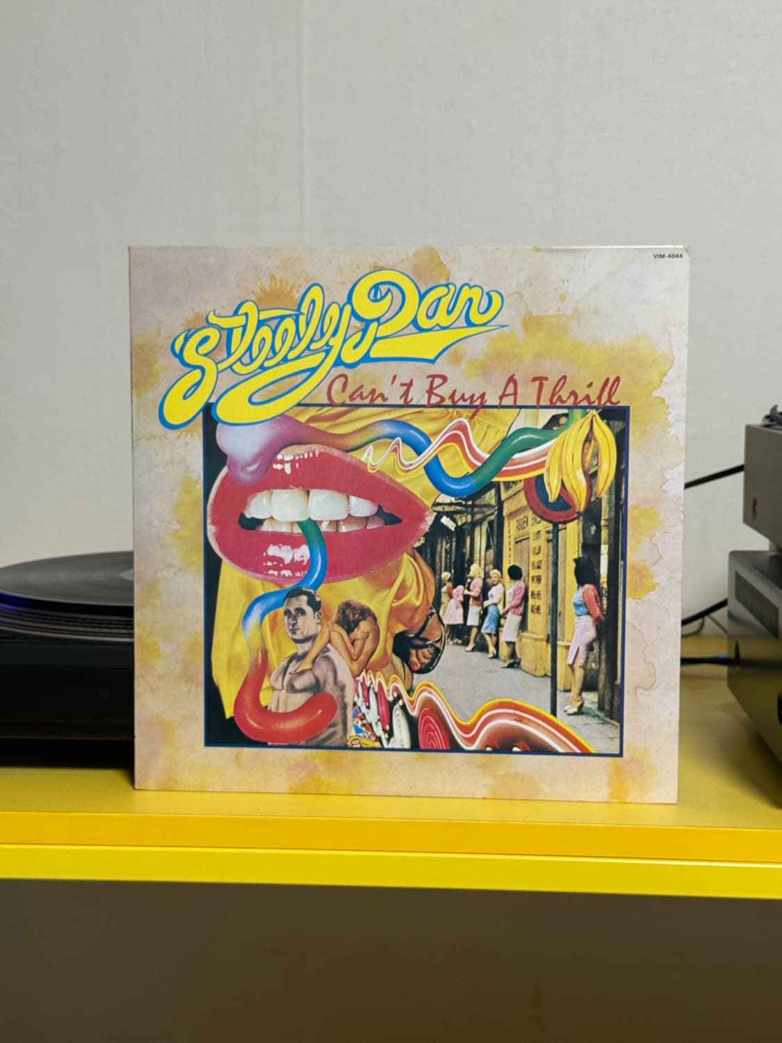 [AOR, Rock] Steely Dan ‎(스틸리댄) LP 판매해요 상품이미지1