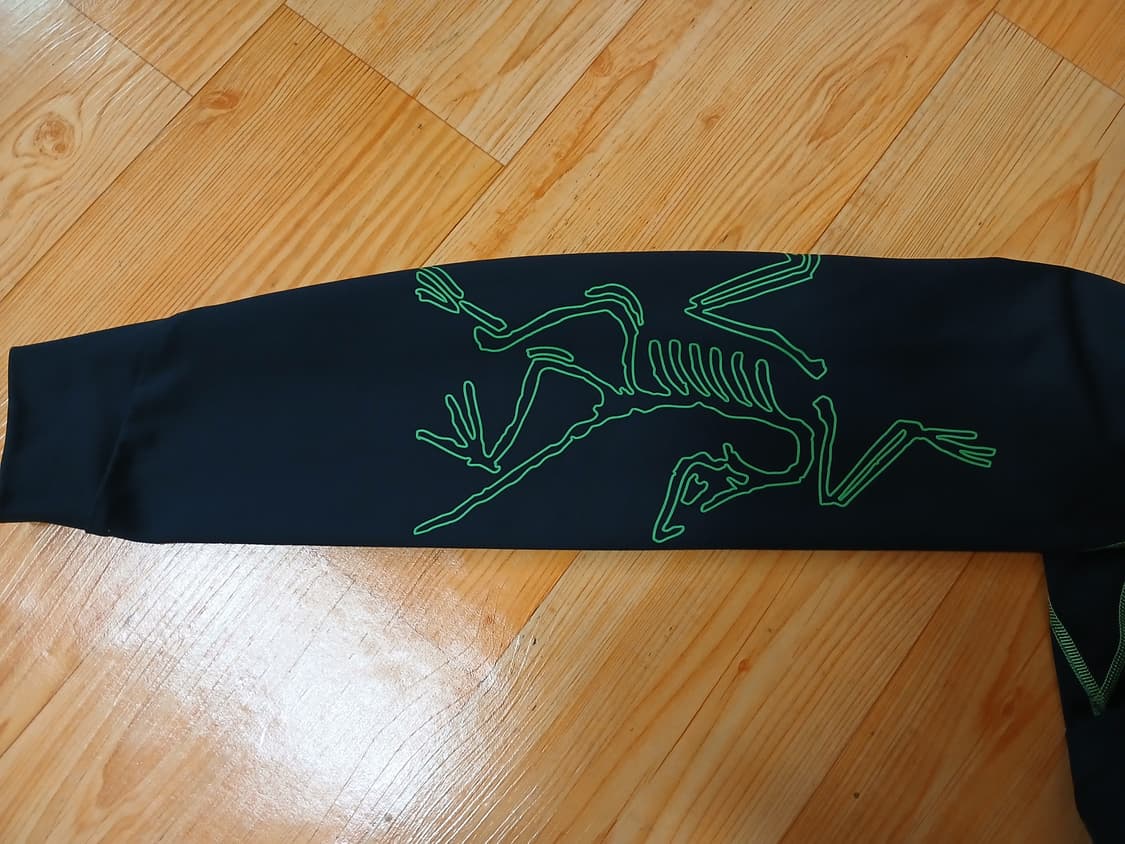 Arc'teryx Copal LS Bird Sleeve - 넬슨 정품 상품이미지5