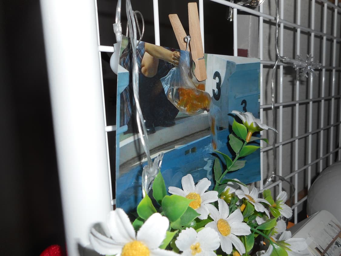 🎞 니콘 COOLPIX S3600 / 윈터, 사쿠라 디카 몽글한 감성 상품이미지4