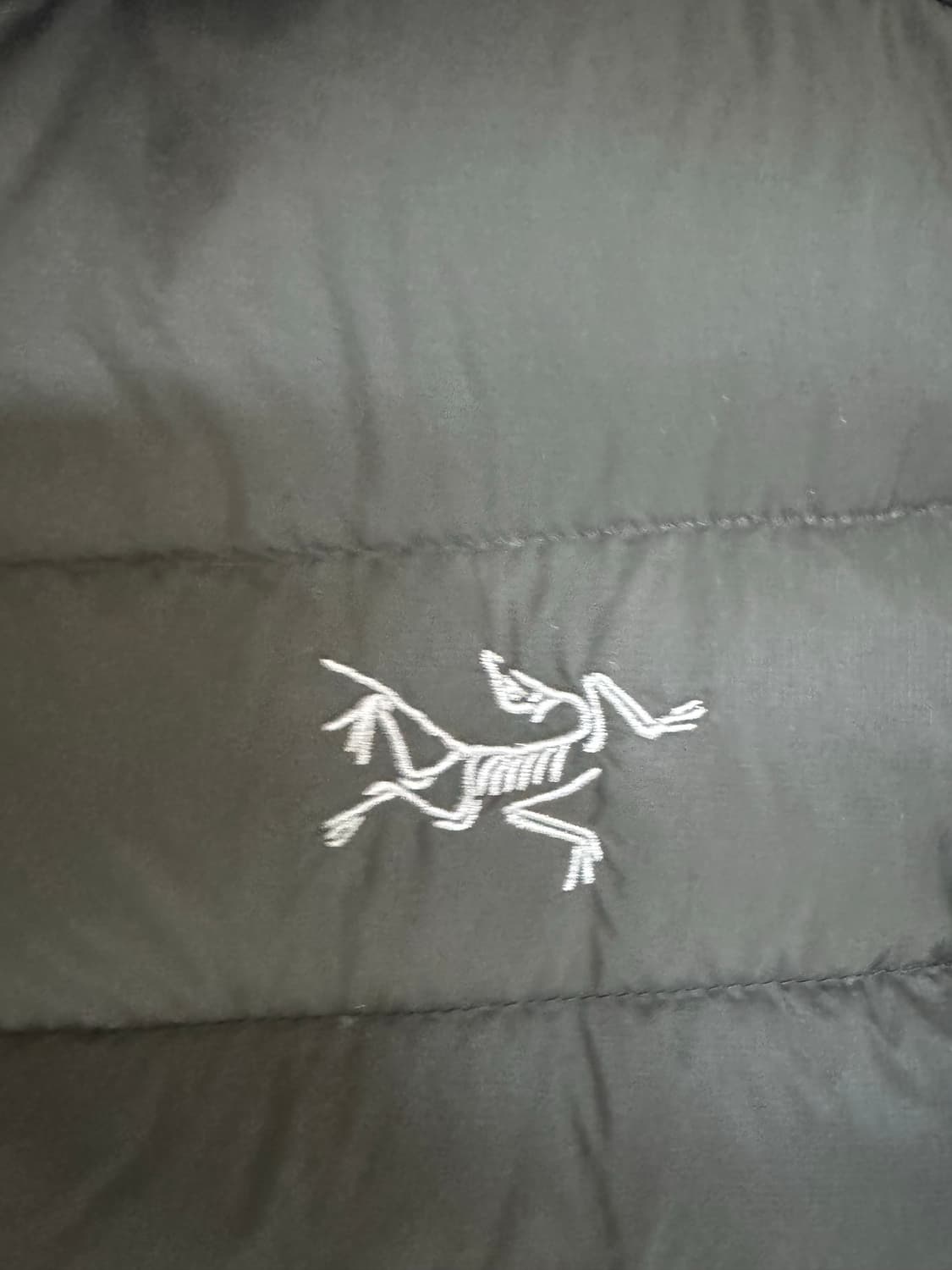 L 아크테릭스 세륨 후디 블랙 패딩 후드 점퍼 상품이미지2