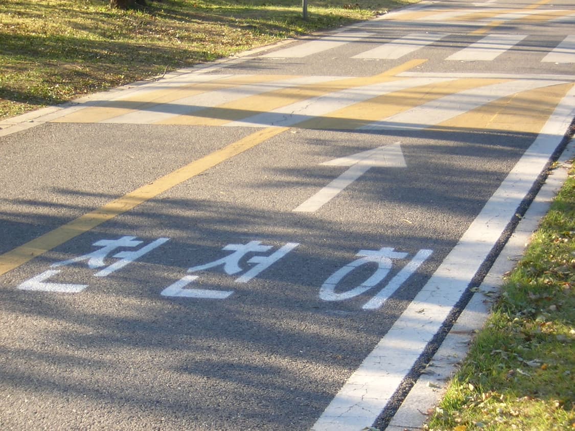 [작례O] 풀박스 S급 희귀 핑크 쿨픽스2100 사쿠라디카 빈티지디카 상품이미지9