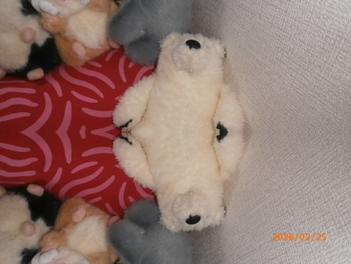 소프트 포커스✨) 올림푸스 vh-210 디카 디지털 카메라 체리레드 상품이미지7