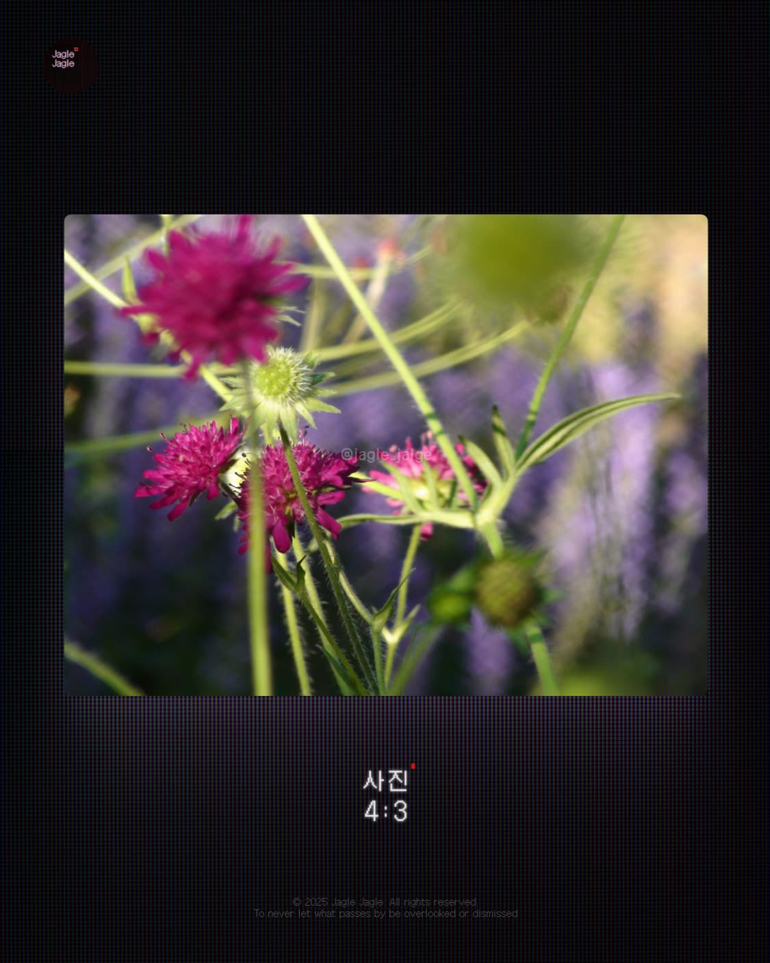💎희귀/하이엔드💎SONY HDR SR11(2008)|캠코더/디카 상품이미지4