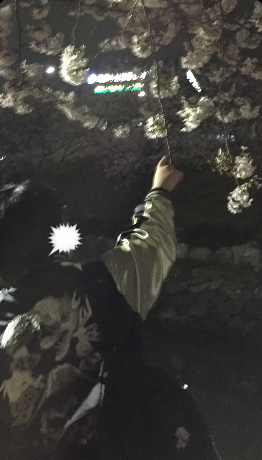 [노퀼팅] Hoshihime 호시히메 스카쟌 Flower Dra 백룡 상품이미지3