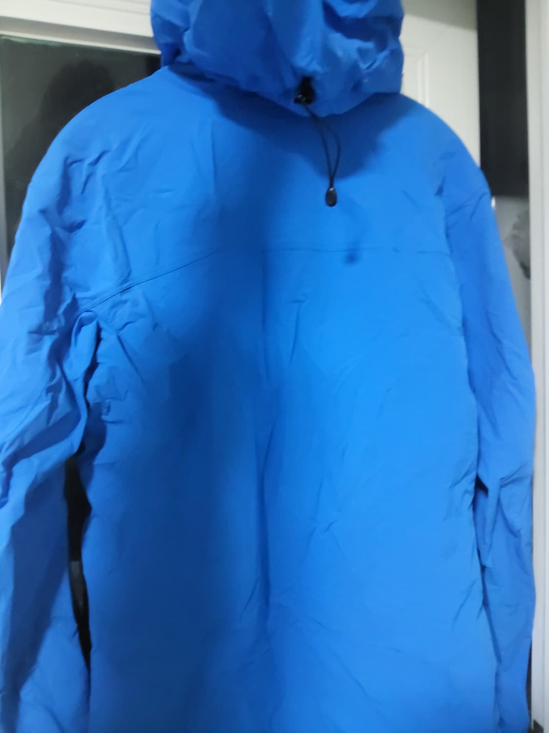 아크테릭스 감마 sl 후디 상품이미지4