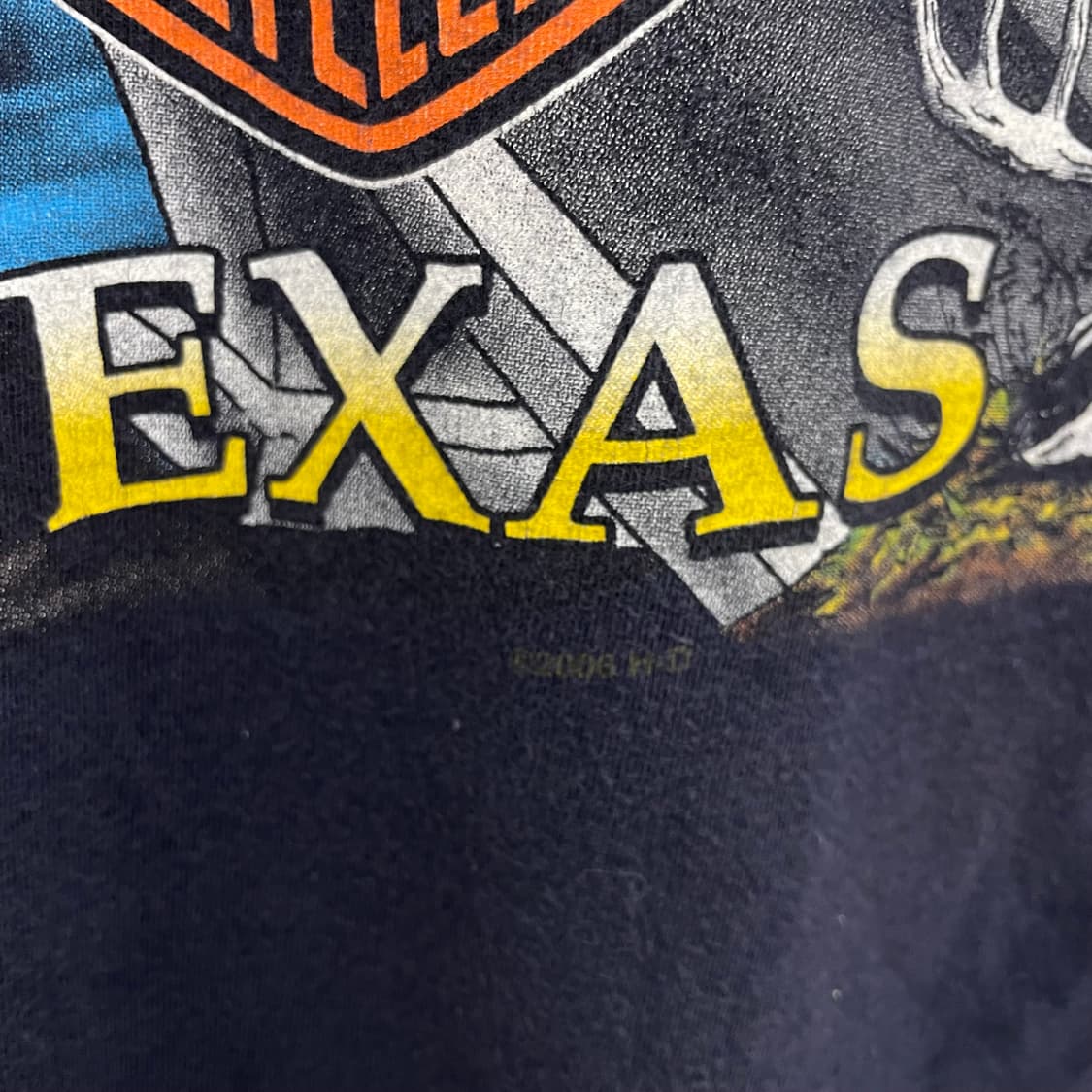 할리데이비슨 00s 플레임 불꽃 이글 그래픽 페이딩 빈티지 반팔 티셔츠 상품이미지8