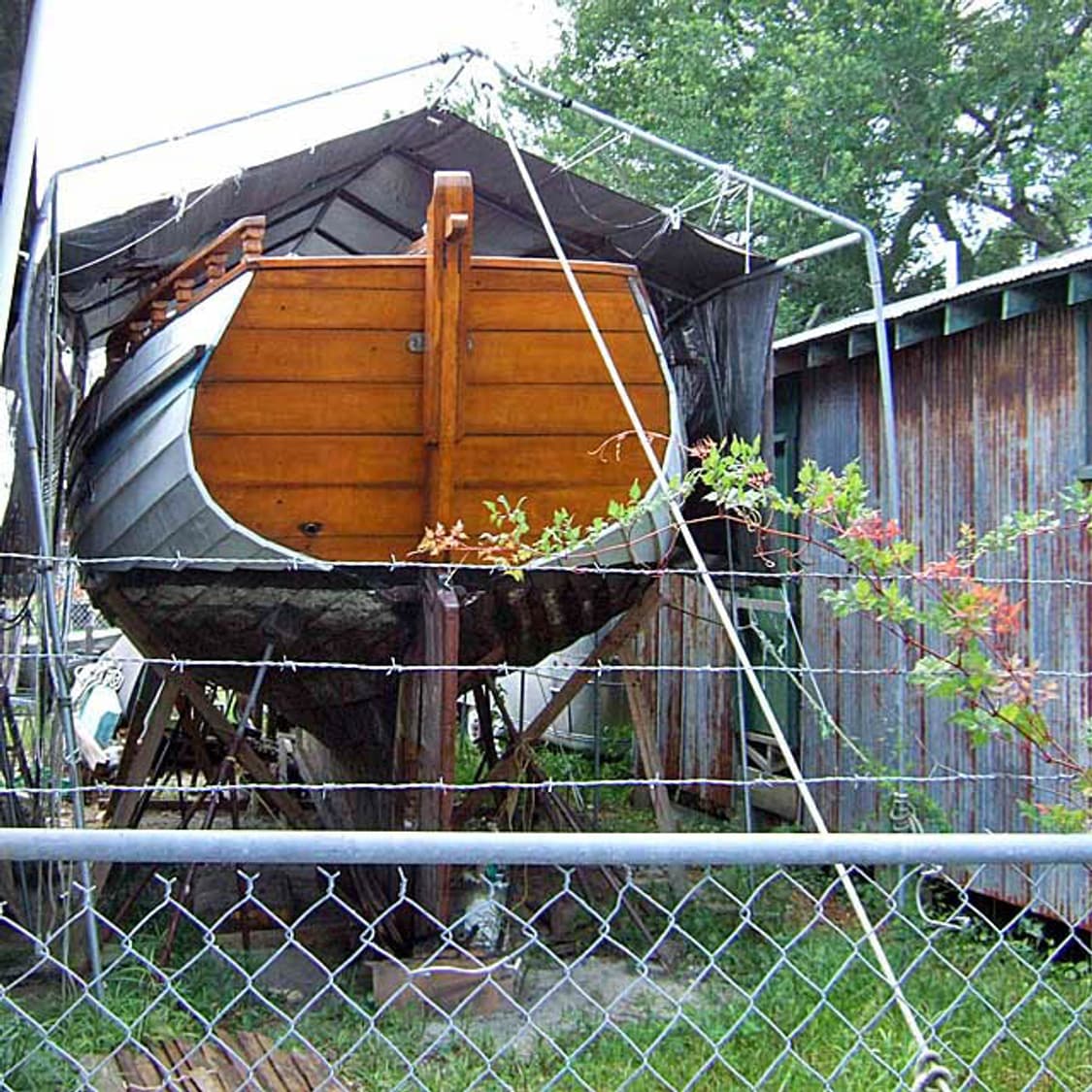 Ricoh Caplio G4 (리코 Caplio G4) 상품이미지9