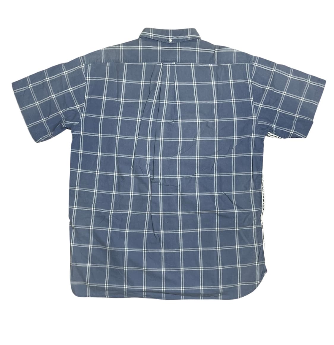 🕑general research 1999 parasite 상품이미지2