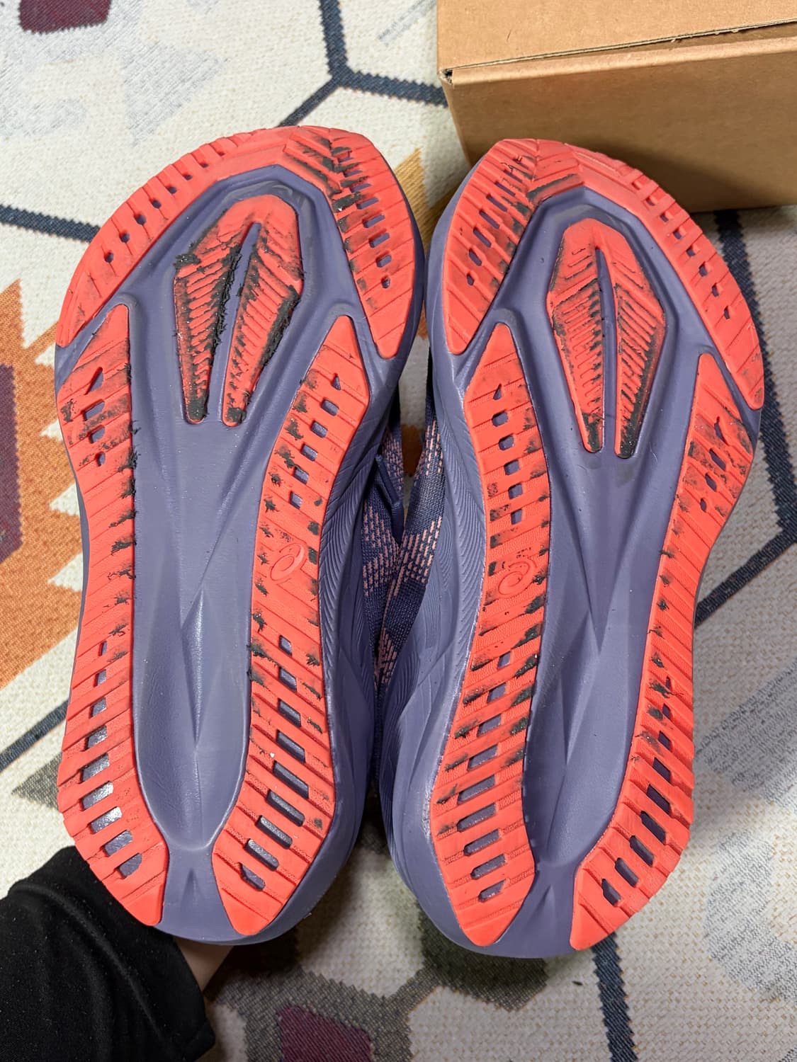 아식스 노바블라스트5 그레이시 퍼플 코랄 리프 265 상품이미지6