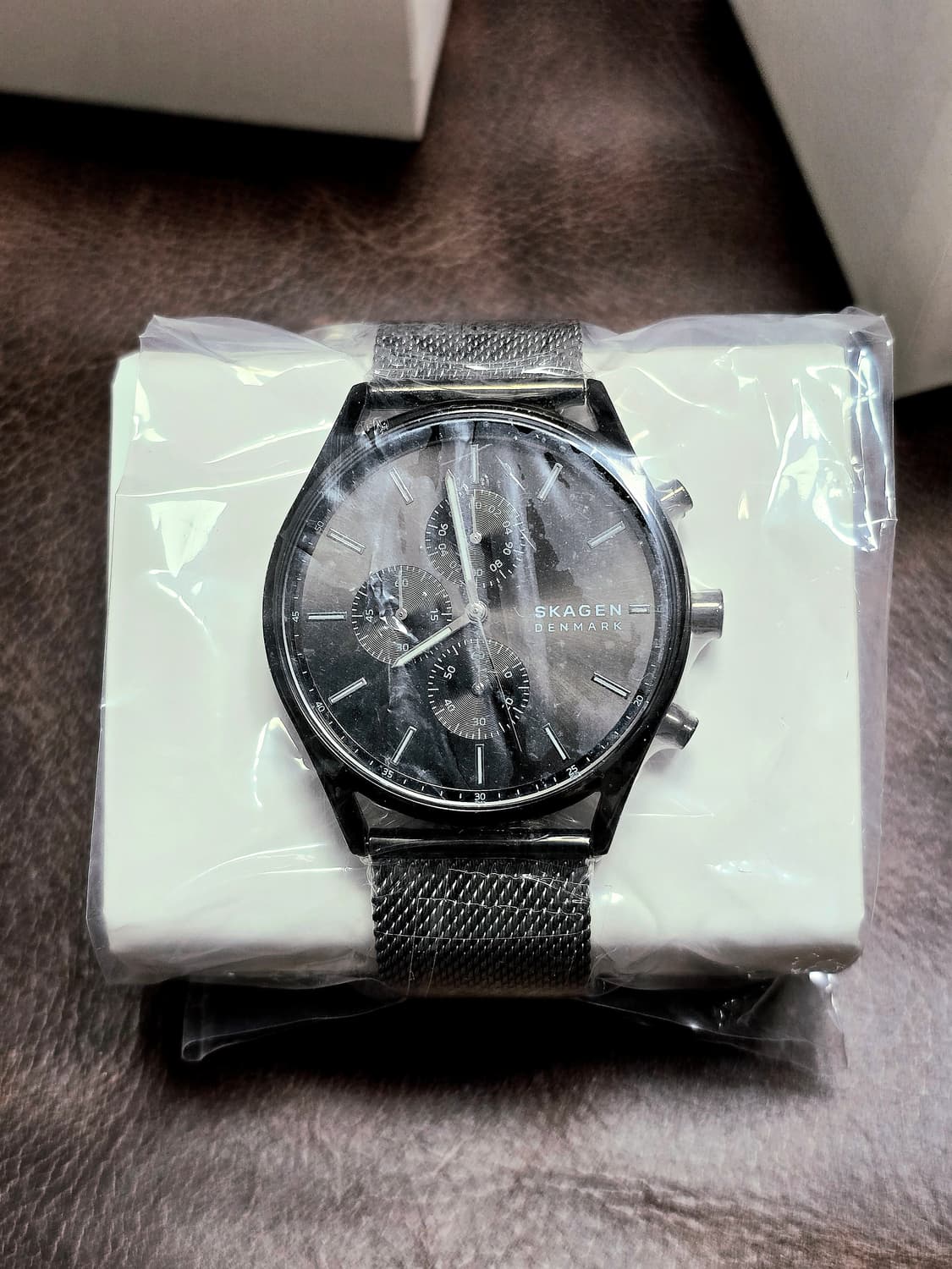 스카겐(SKAGEN) skw6608 홀스트 크로노그래프 차콜 메쉬 상품이미지1