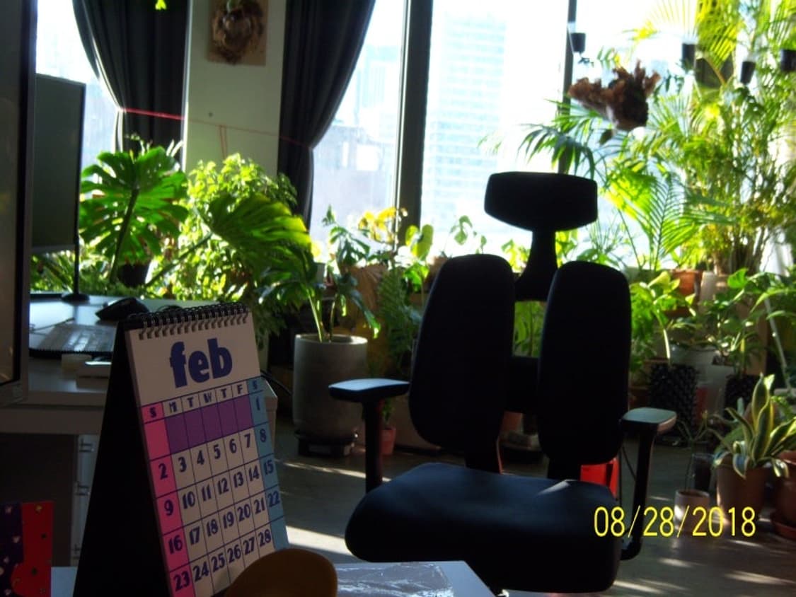 코닥 이지쉐어 V803 실버 Kodak easyshare V803 sil 상품이미지8