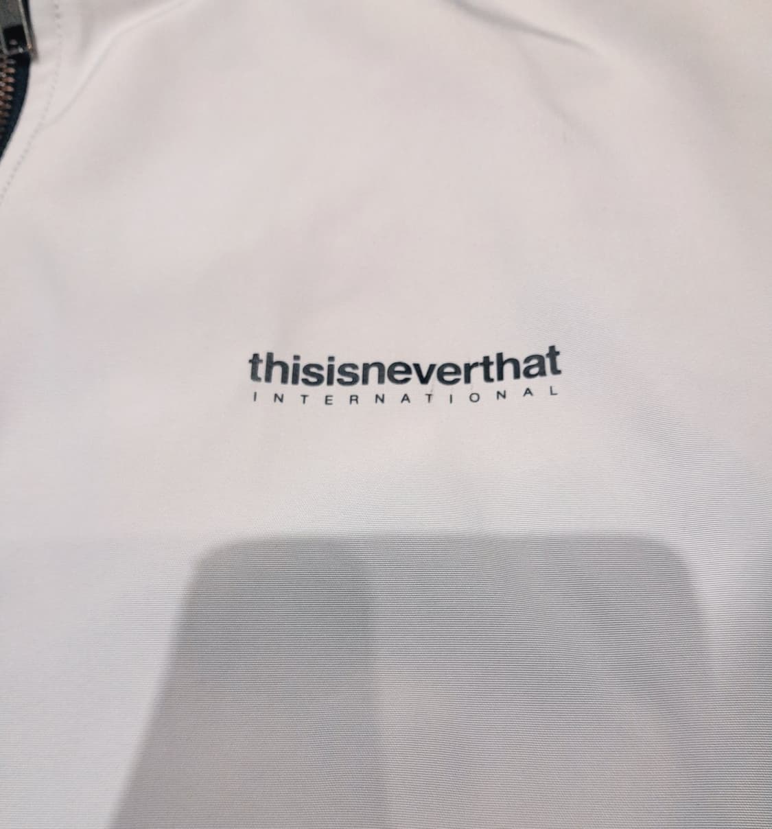 💥디스이즈네버댓 자켓 실버그레이 (M) 상품이미지4