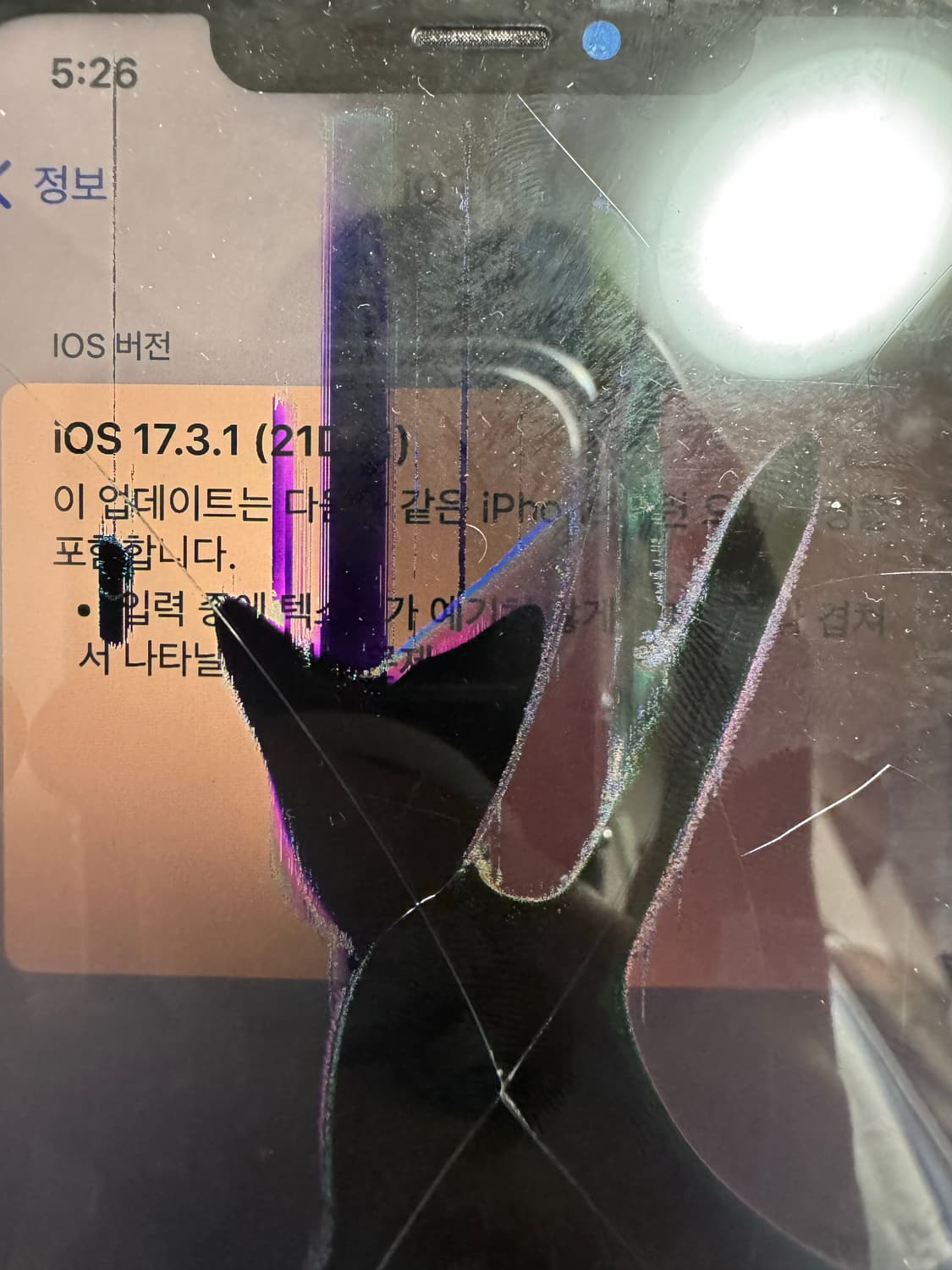 아이폰 XS max 골드 256g 서유럽판 상품이미지4