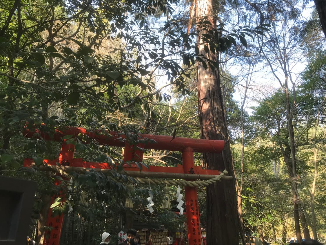 아이폰 7 골드 32GB 5s 6s 8 C 5c 상품이미지10