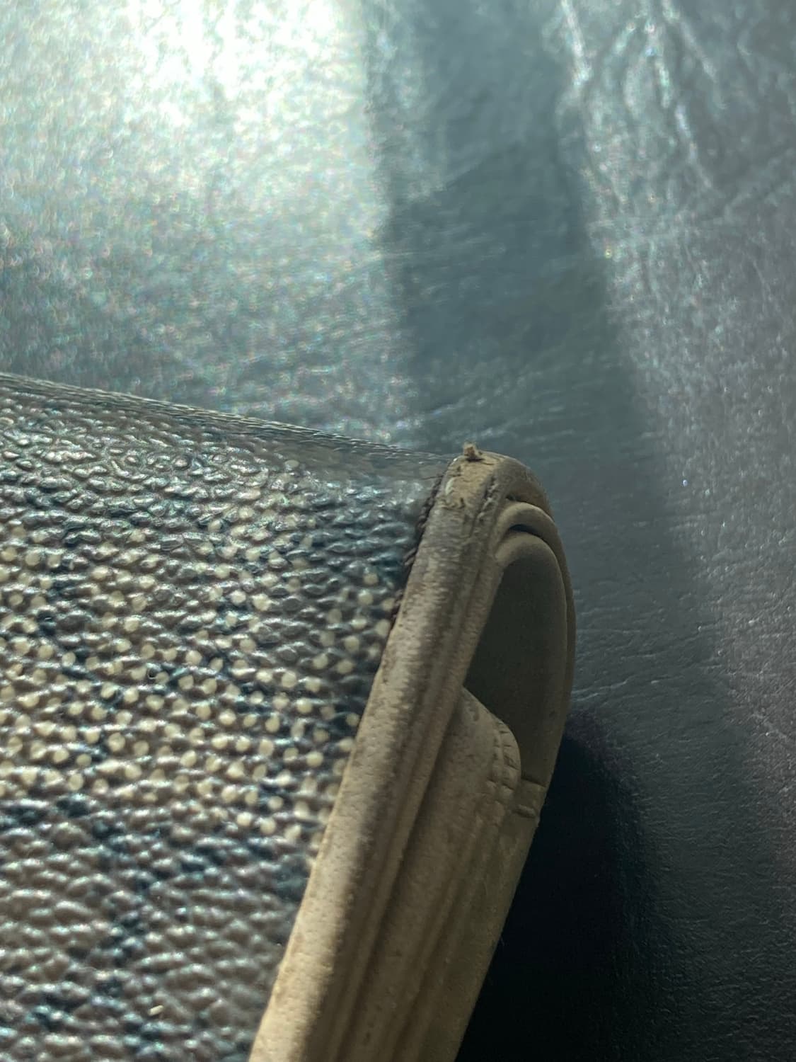 제이에스티나 y2k 김연아 지갑 고딕풍 웨스턴 오리엔탈 빈티지 상품이미지3