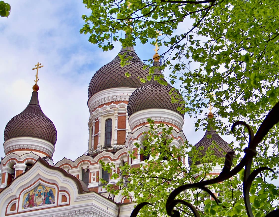 Panasonic LUMIX DMC-FS25 (파나소닉 루믹스 FS25) 상품이미지10