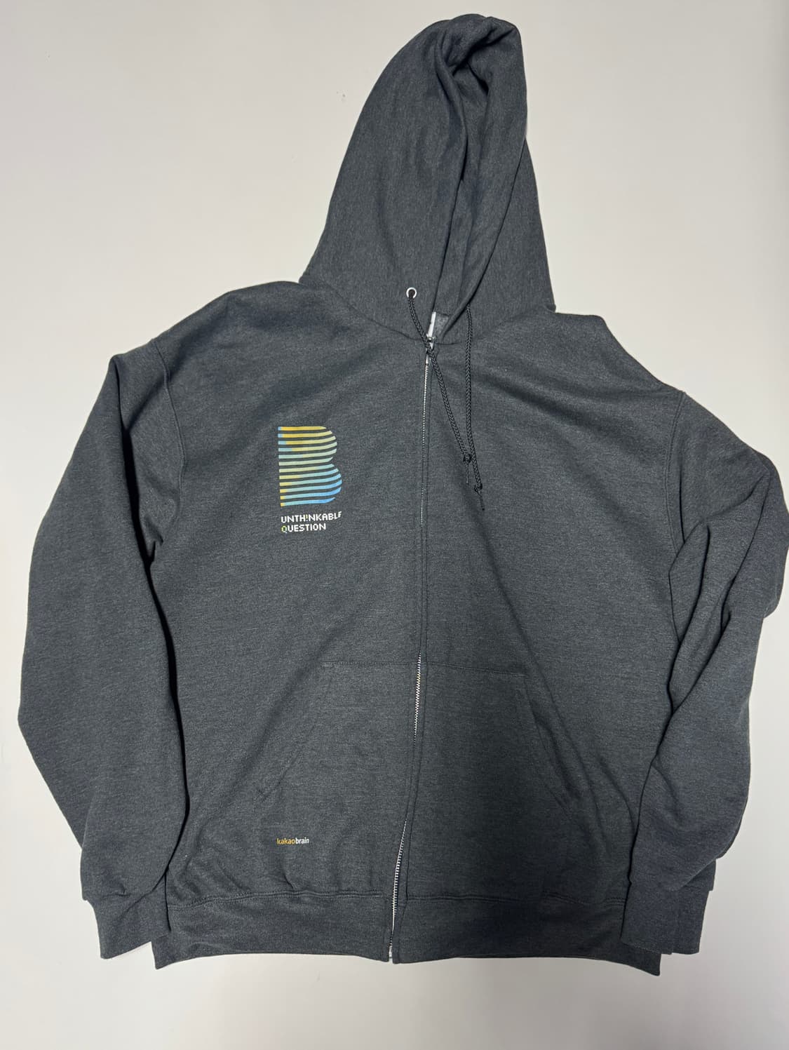 챔피온 X 카카오 빅 사이즈 뒷 프린팅 기모 후드집업 XL ~ 2XL 상품이미지2