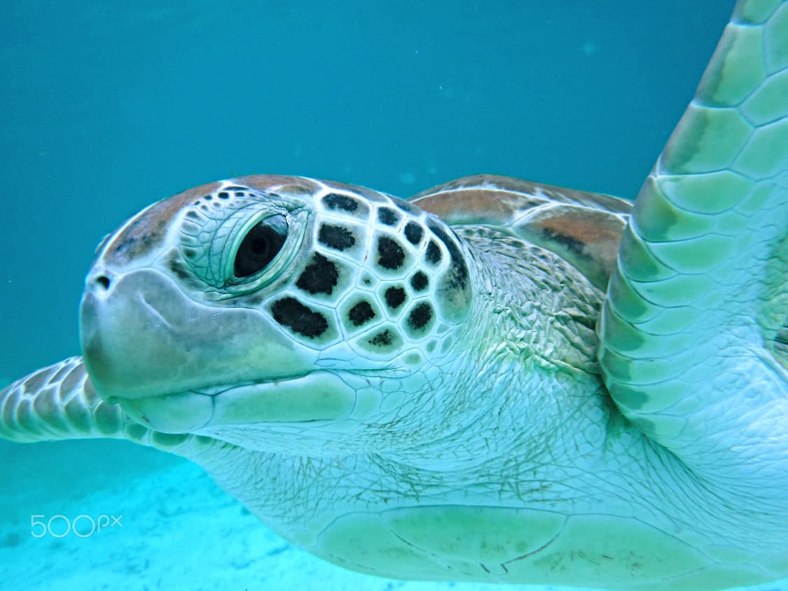 작례) 후지필름 파인픽스 xp90 fujifilm finepix 디카 상품이미지9