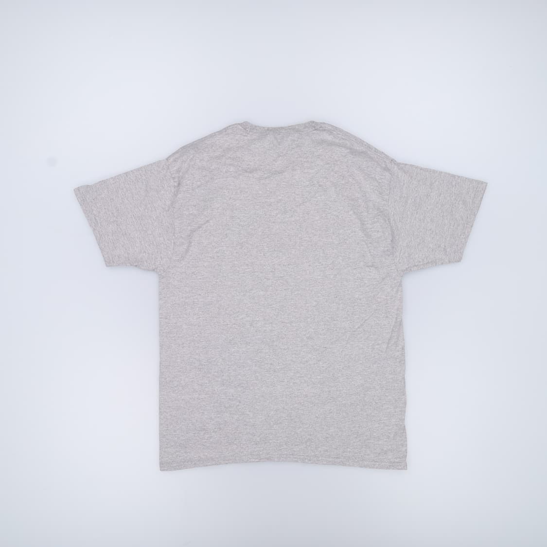 L 챔피온 반팔 티셔츠 0402H1 상품이미지2