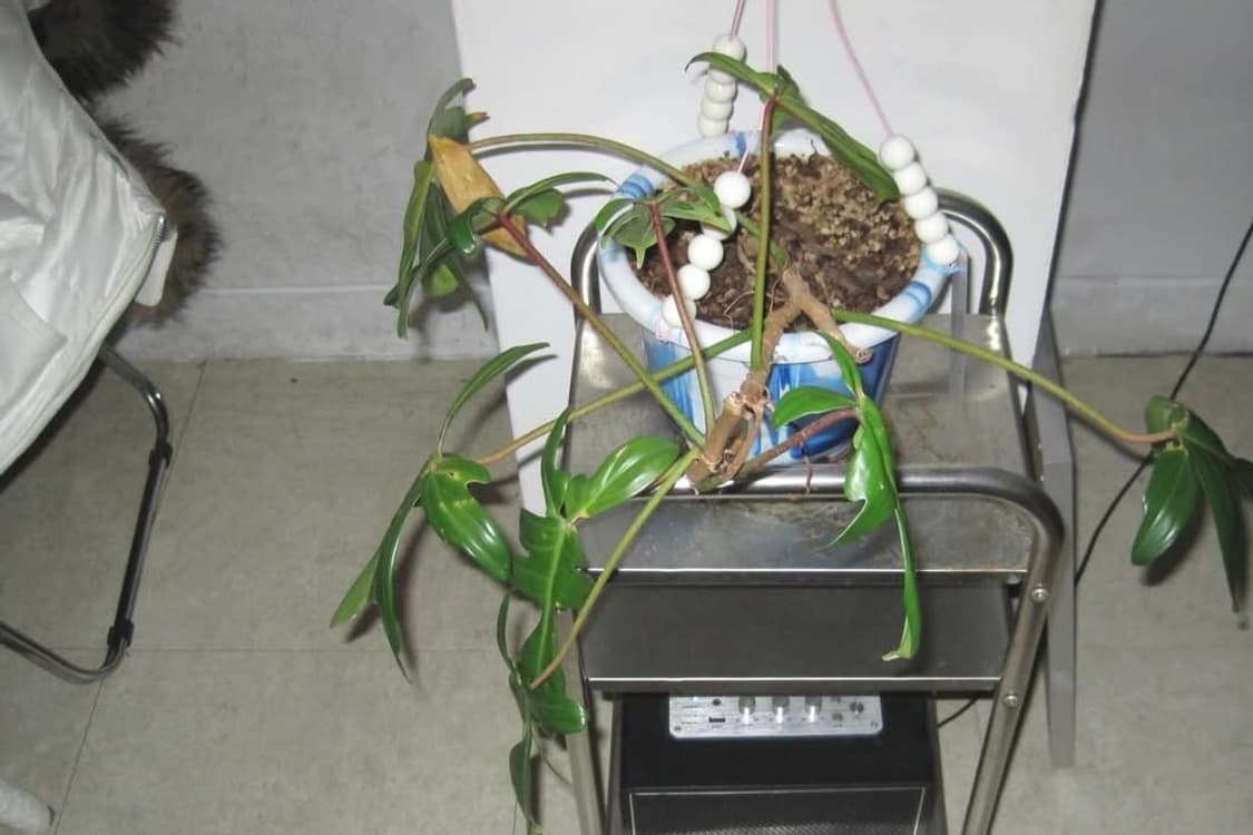 [작례⭕️] 캐논 IXY 110 IS (IXUS 95 IS) 상품이미지4