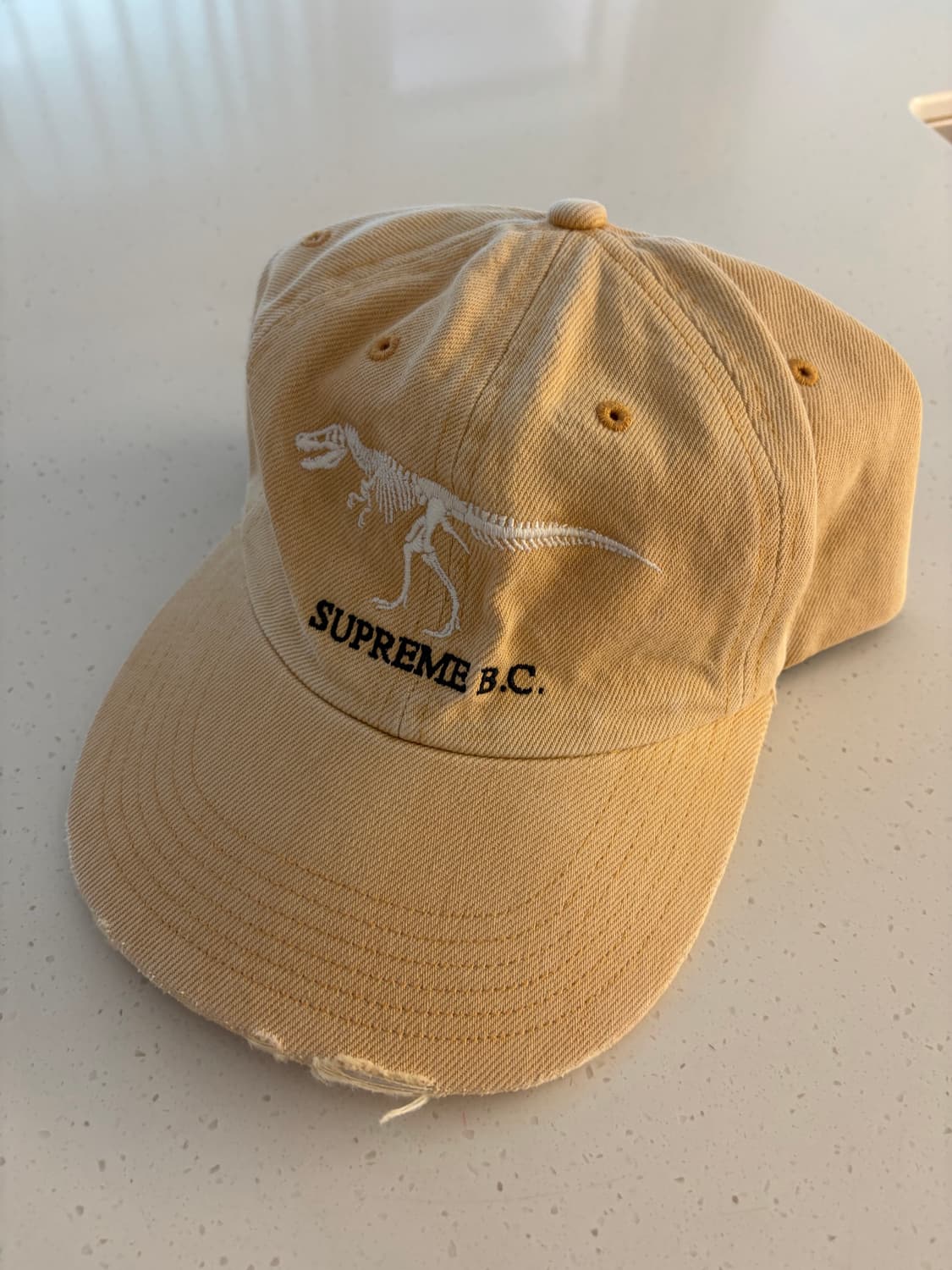 슈프림 18W 쥬라기 볼캡 상품이미지1