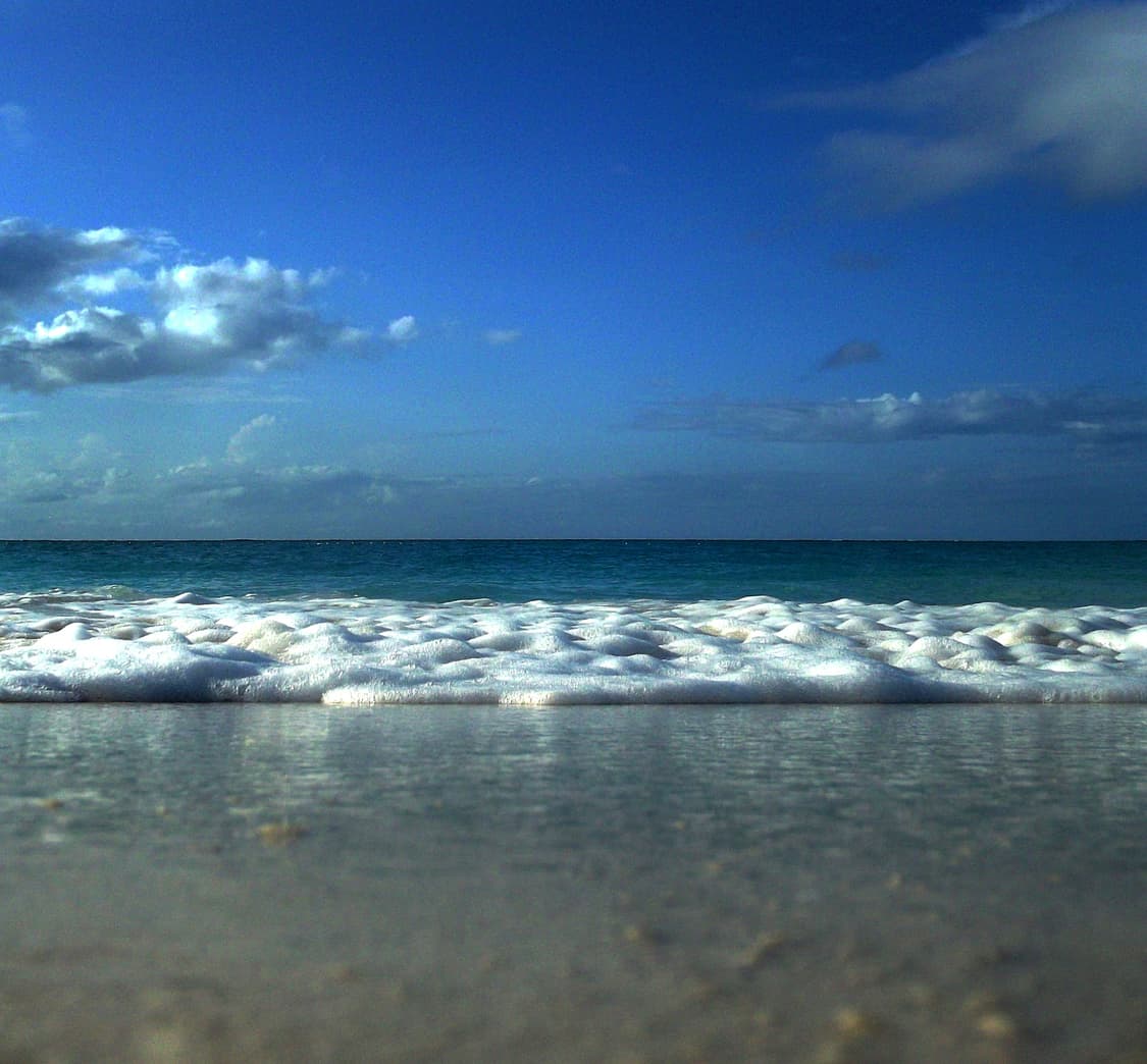 📸 코닥 이지쉐어 EasyShare C123 빈티지 디지털카메라 판매 상품이미지4