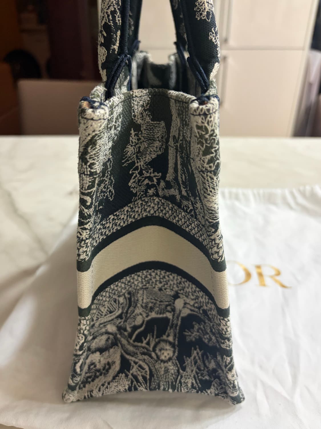 디올 Dior 북토트백 스몰 뜨왈 드 주이 리버스 상품이미지4