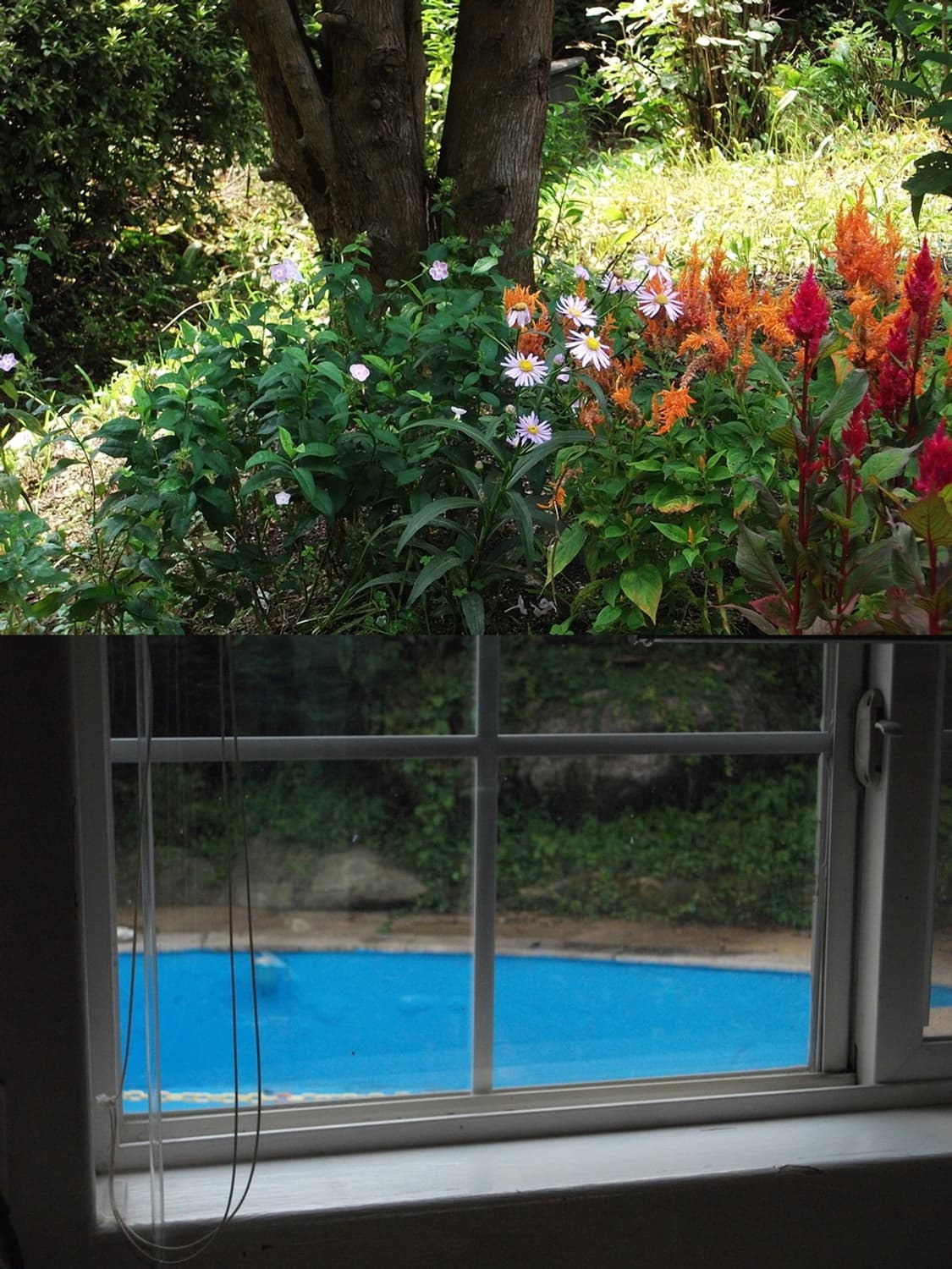 ☃️ 후지필름 파인픽스 J30 ☃️ 빈티지 디카 상품이미지7