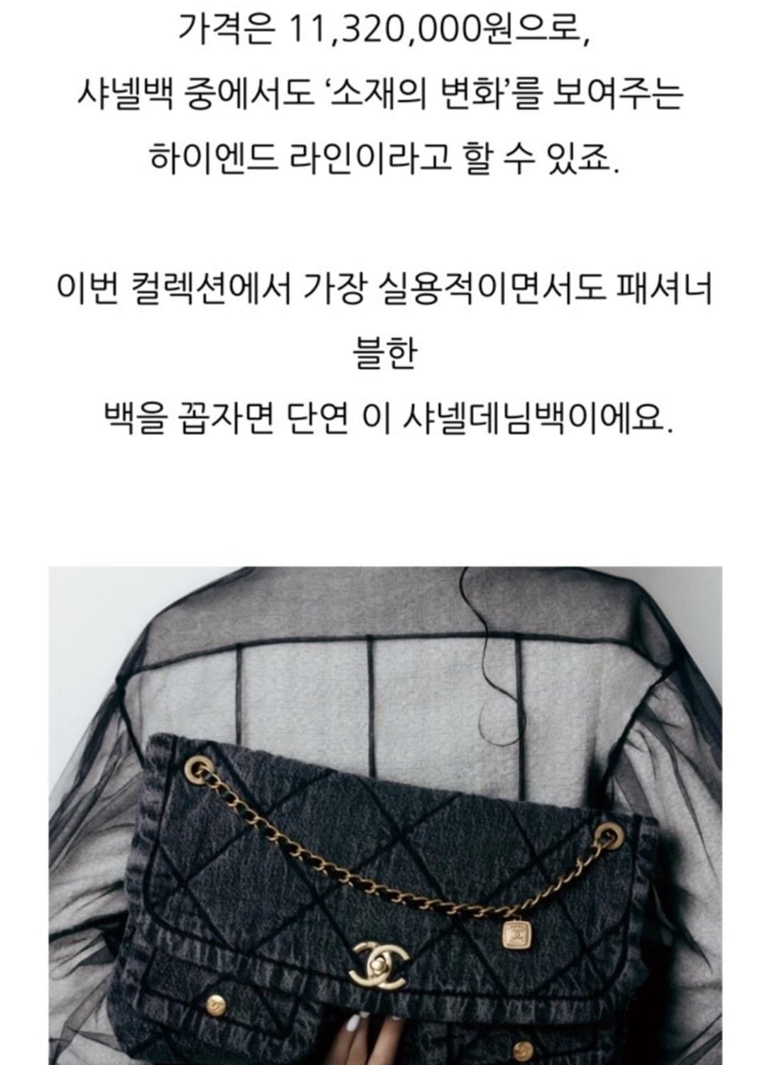 샤넬 25FW맥시플렙백 상품이미지6