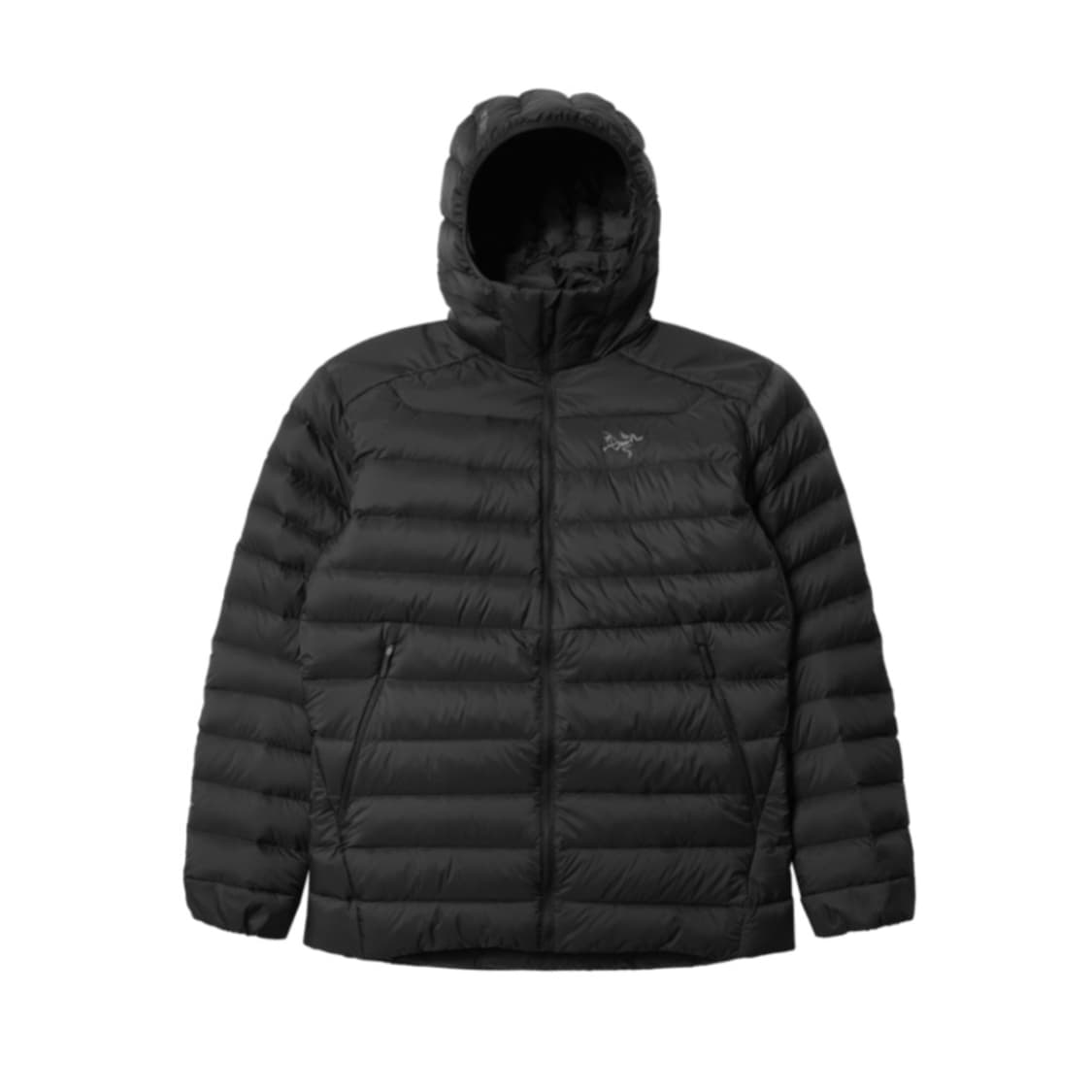 [L] 아크테릭스 세륨 후디 블랙 상품이미지2