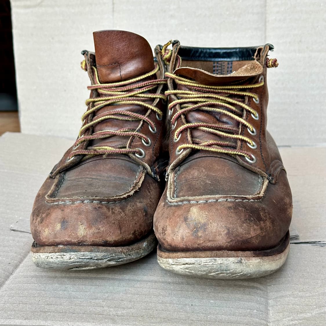 레드윙 8138 D US 8, 260mm 상품이미지7