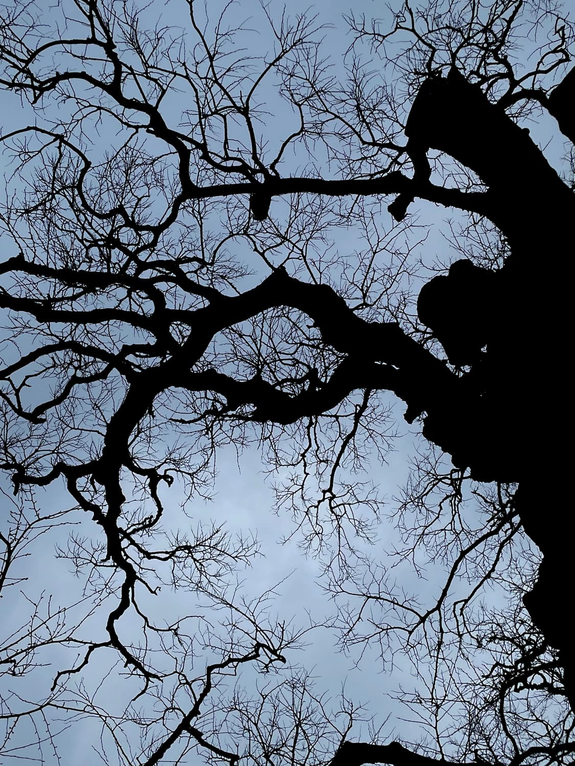 Rickowens geobasket 43 상품이미지1