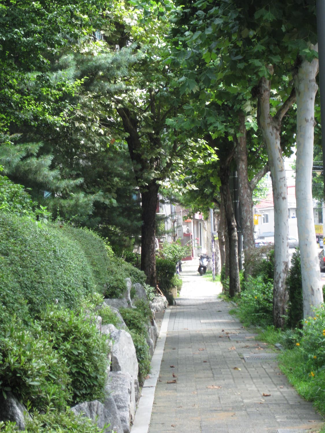 캐논 익서스 90 IS 디카 / 빈티지 디카 상품이미지7