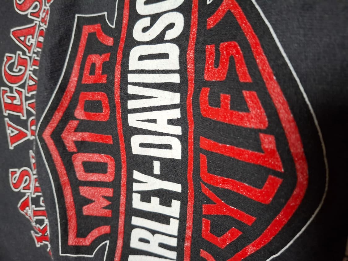 00s 할리 데이비슨 플레임 집업 파카,후디 상품이미지9