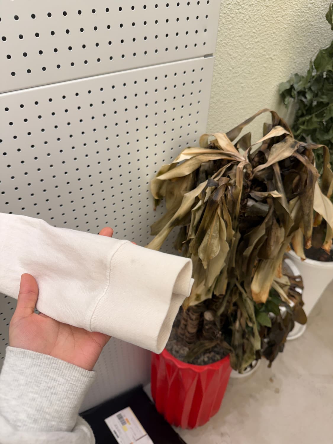 스투시 아이보리 롱슬리브 티셔츠 U446 상품이미지4